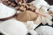 کاهش ۸۱ درصدی تولید شکر 